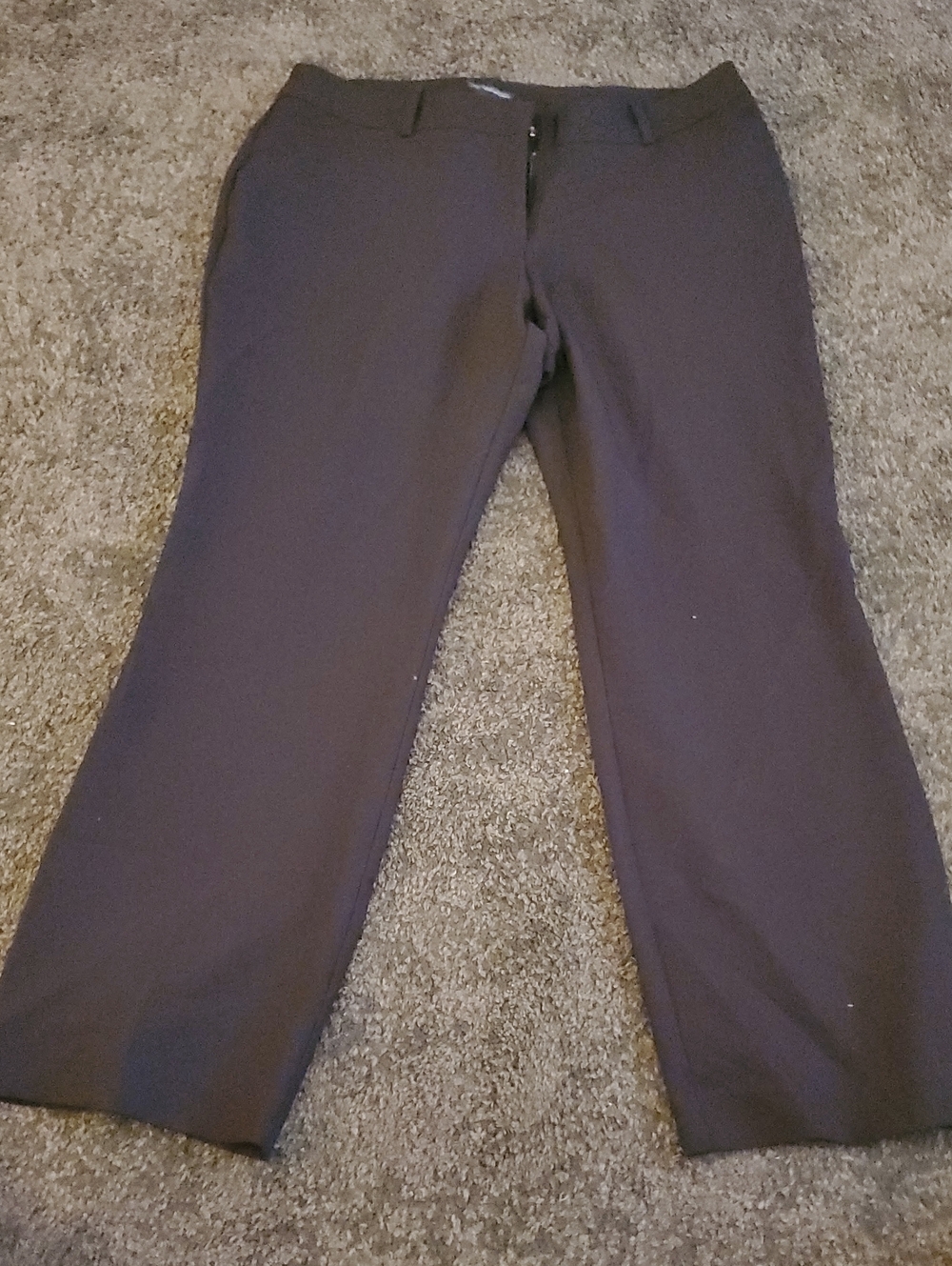 Worthington Women's Straight Leg Dress Pants in Black